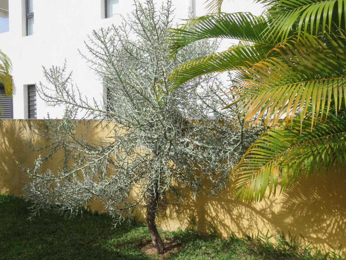 Villa Canelle Trou aux Biches Εξωτερικό φωτογραφία